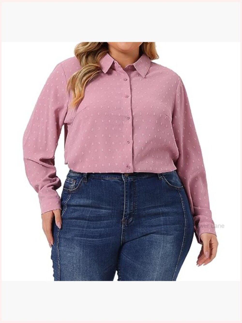 Plus Size Long Sleeve Button Down Swiss Dots Blouse Shirt Top - Picture 2 of 5